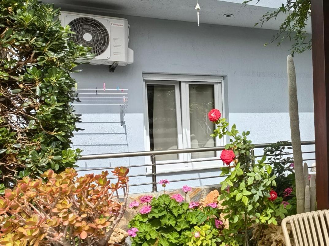 Eva Ivoni Apartments Amoudara Lasithiou 外观 照片